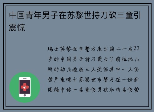 中国青年男子在苏黎世持刀砍三童引震惊